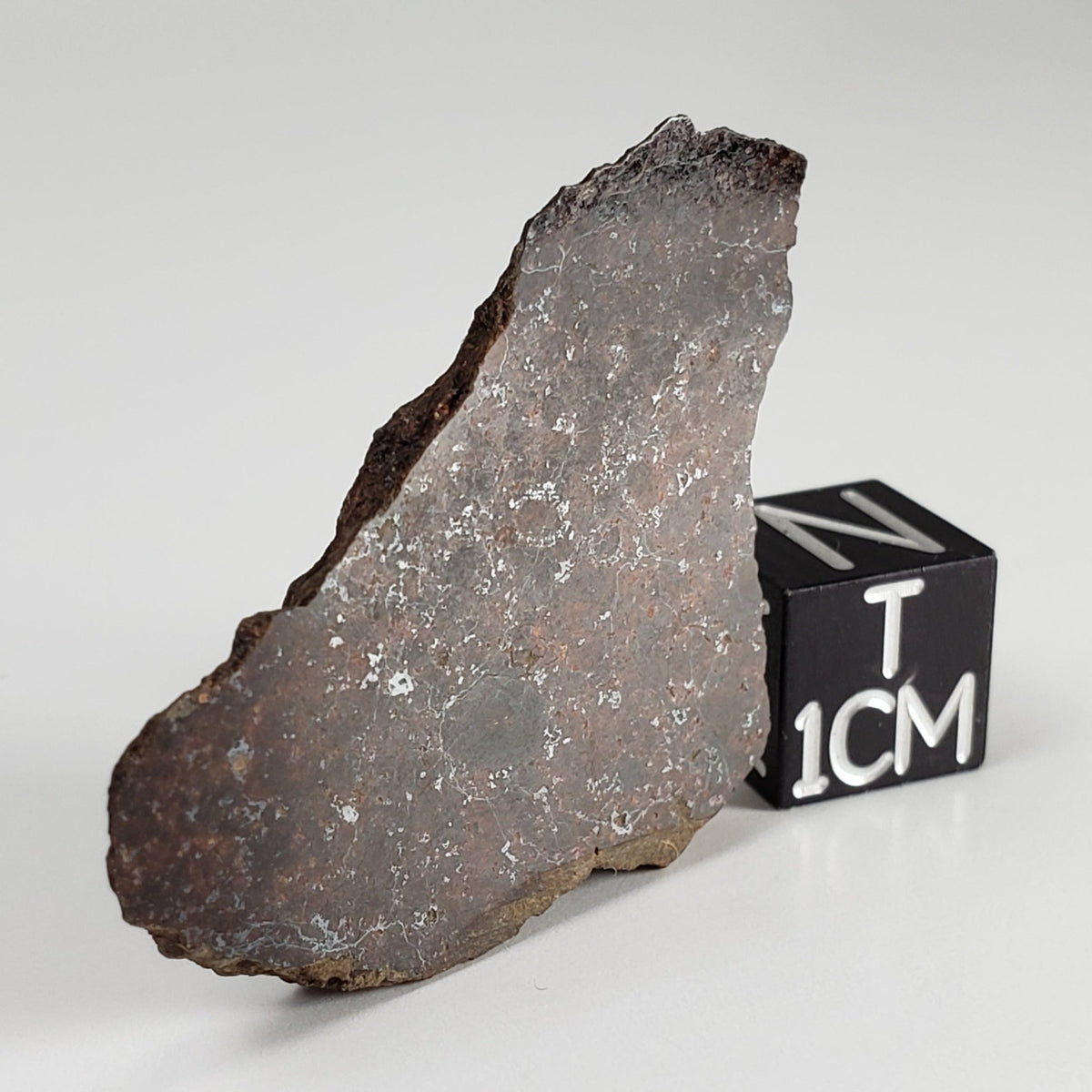 Shişr 010 Meteorite | 7.2 Grams | End Cut | L5 Chondrite | Rare | Shişr Desert, Oman | SO24 