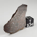  Shişr 010 Meteorite | 7.2 Grams | End Cut | L5 Chondrite | Rare | Shişr Desert, Oman | SO24 