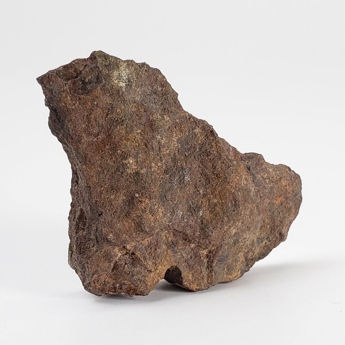  Shişr 010 Meteorite | 7.2 Grams | End Cut | L5 Chondrite | Rare | Shişr Desert, Oman | SO24 1