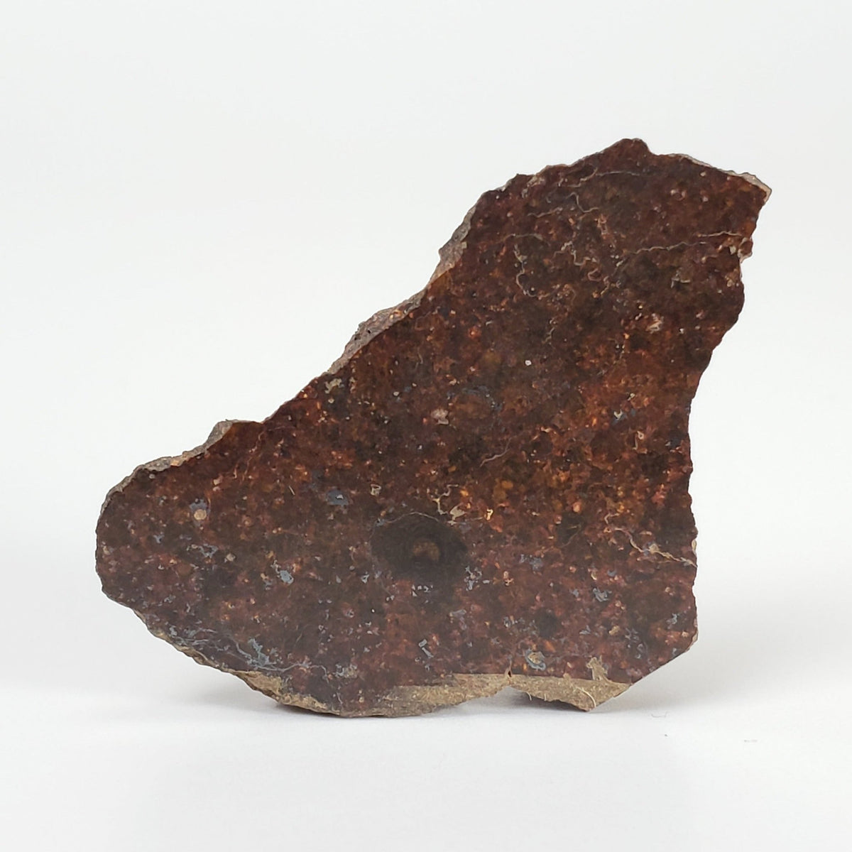  Shişr 010 Meteorite | 7.2 Grams | End Cut | L5 Chondrite | Rare | Shişr Desert, Oman | SO24 2