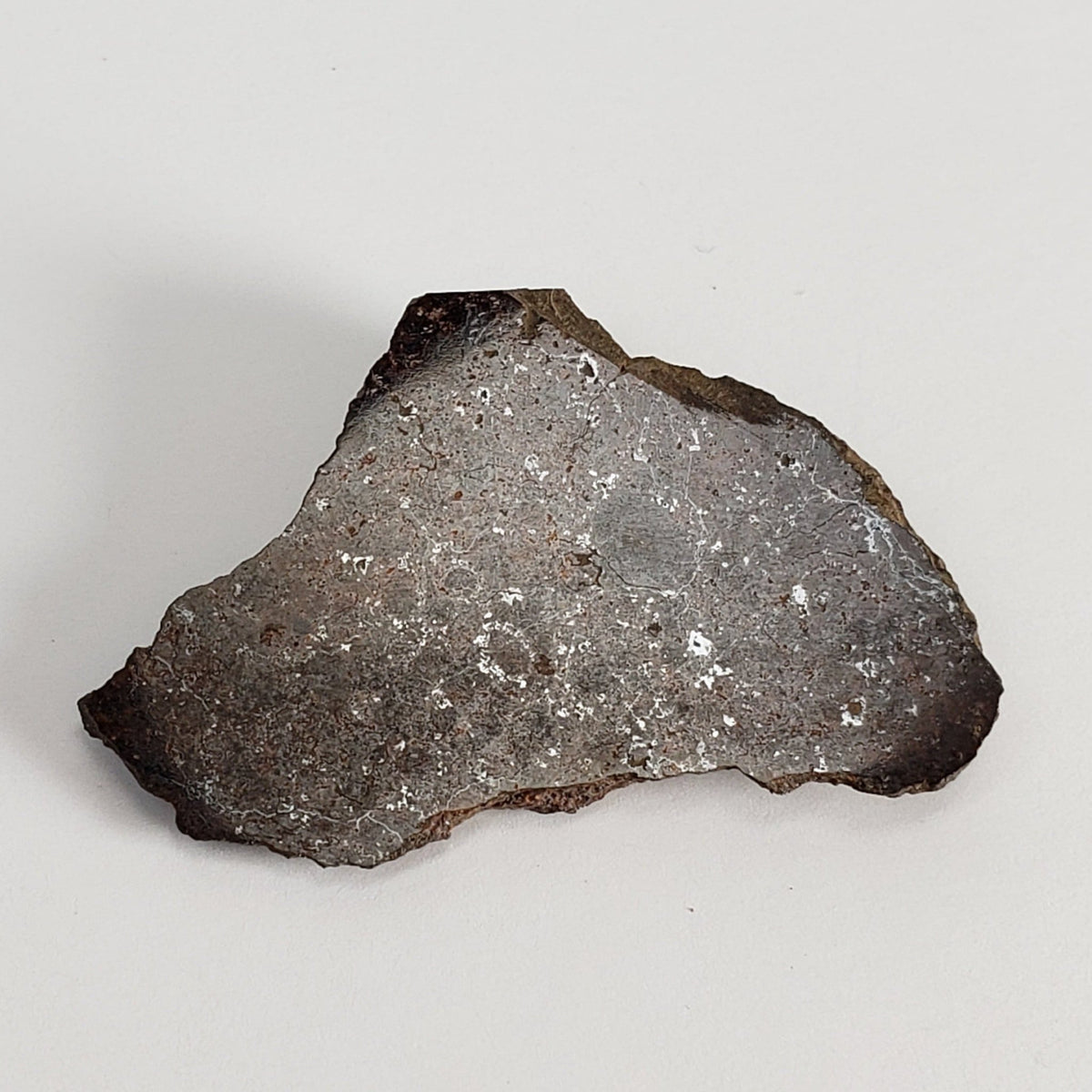  Shişr 010 Meteorite | 7.2 Grams | End Cut | L5 Chondrite | Rare | Shişr Desert, Oman | SO24 3