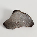  Shişr 010 Meteorite | 7.2 Grams | End Cut | L5 Chondrite | Rare | Shişr Desert, Oman | SO24 3
