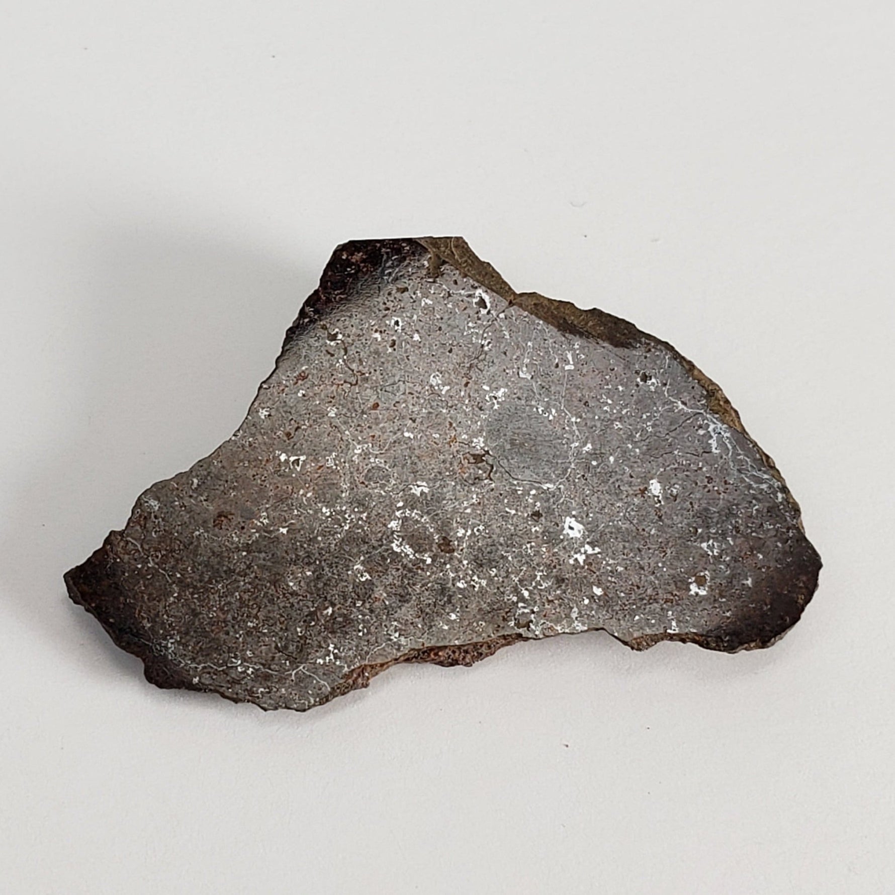  Shişr 010 Meteorite | 7.2 Grams | End Cut | L5 Chondrite | Rare | Shişr Desert, Oman | SO24 3