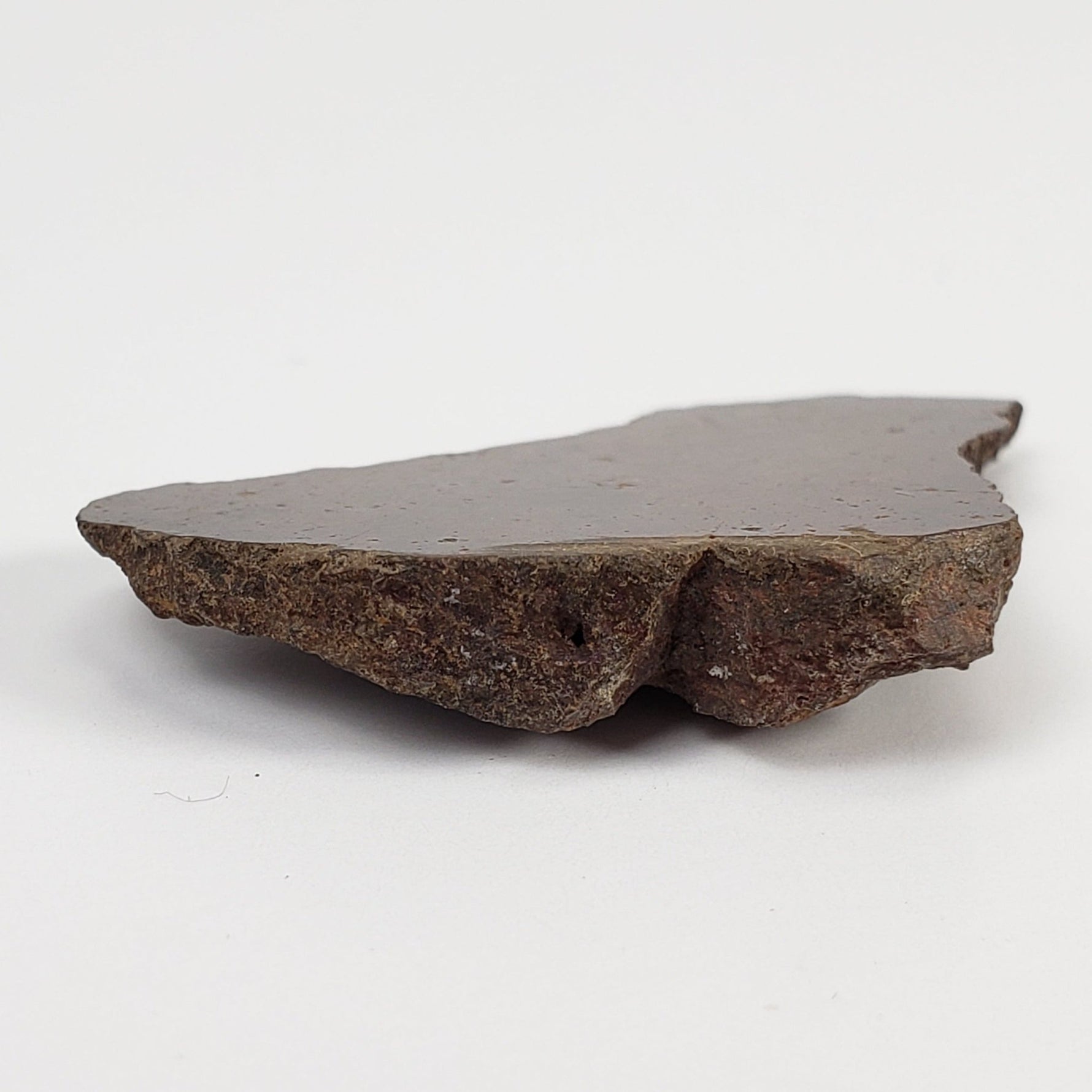  Shişr 010 Meteorite | 7.2 Grams | End Cut | L5 Chondrite | Rare | Shişr Desert, Oman | SO24 7