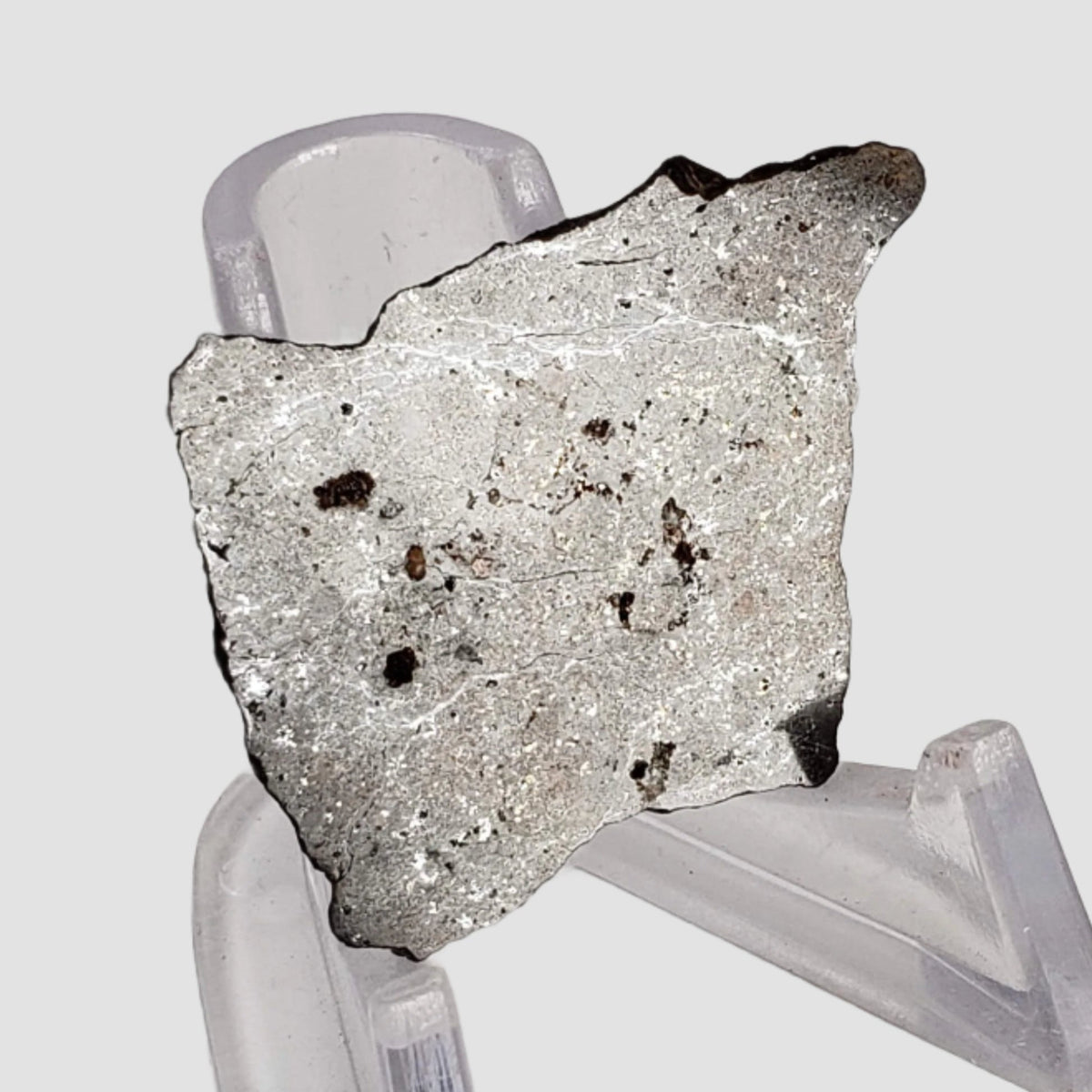  Shişr 010 Meteorite | 7.45 Grams | Slice | L5 Chondrite | Rare | Shişr Desert, Oman | SO24 1