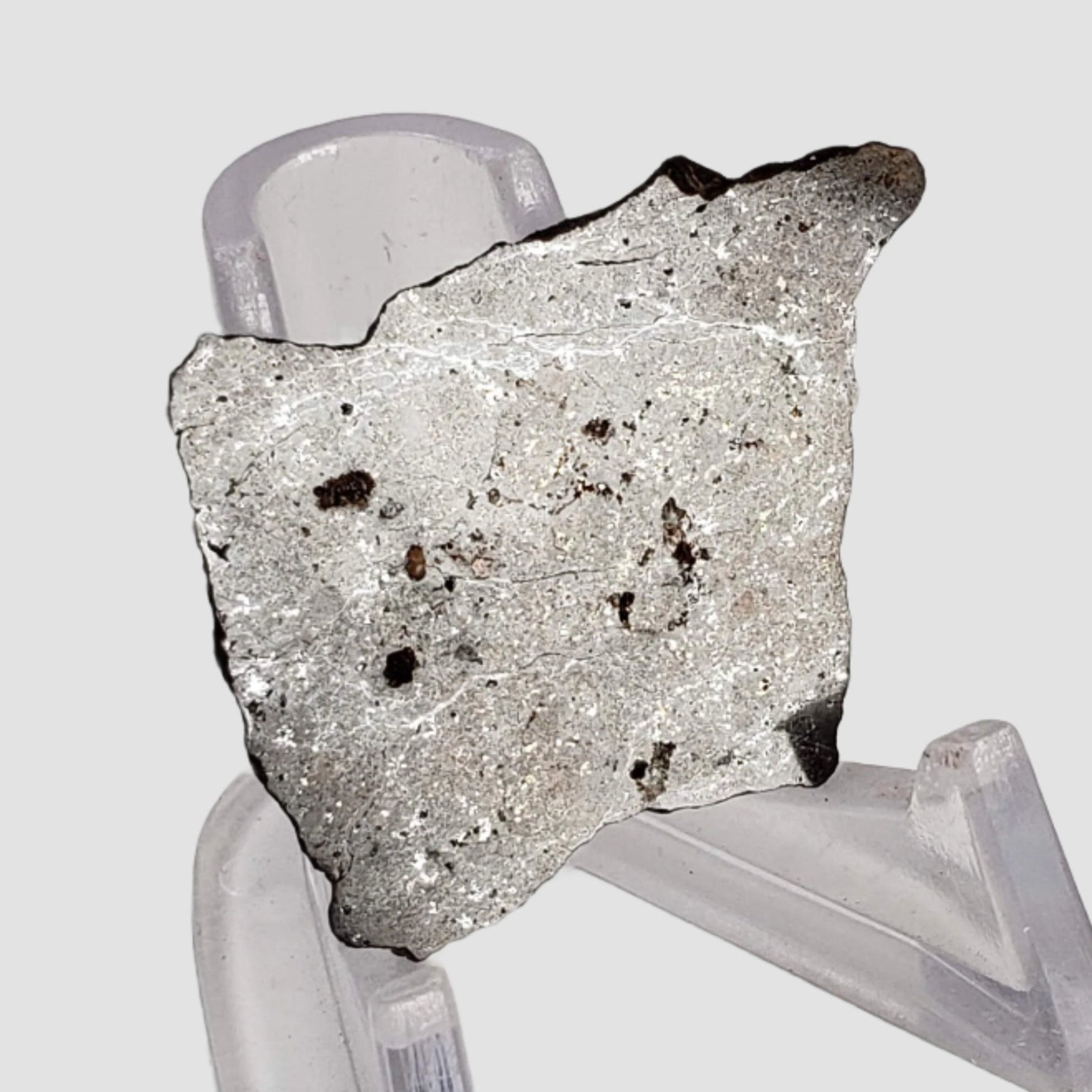  Shişr 010 Meteorite | 7.45 Grams | Slice | L5 Chondrite | Rare | Shişr Desert, Oman | SO24 1