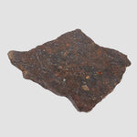  Shişr 010 Meteorite | 7.45 Grams | Slice | L5 Chondrite | Rare | Shişr Desert, Oman | SO24 3