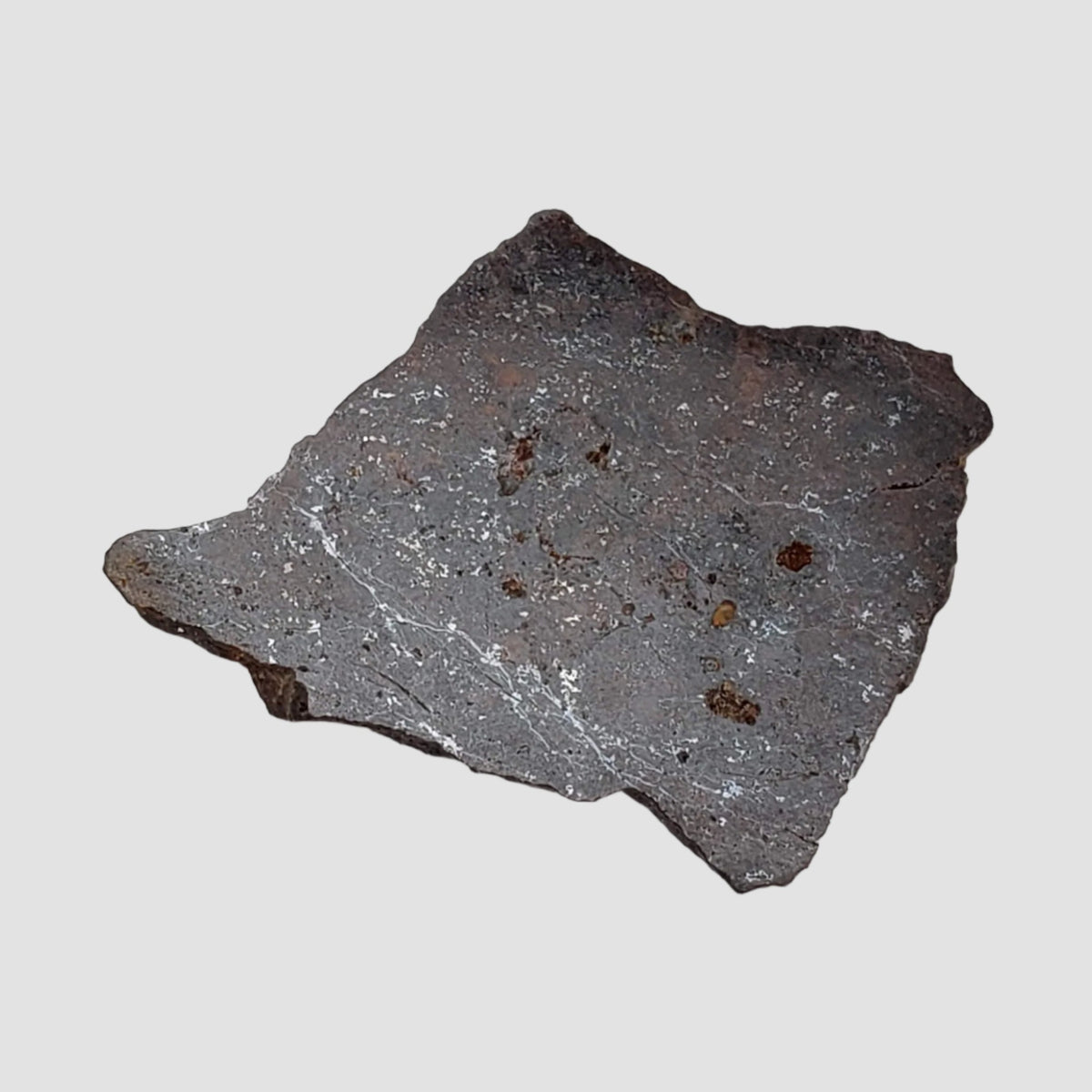  Shişr 010 Meteorite | 7.45 Grams | Slice | L5 Chondrite | Rare | Shişr Desert, Oman | SO24 2