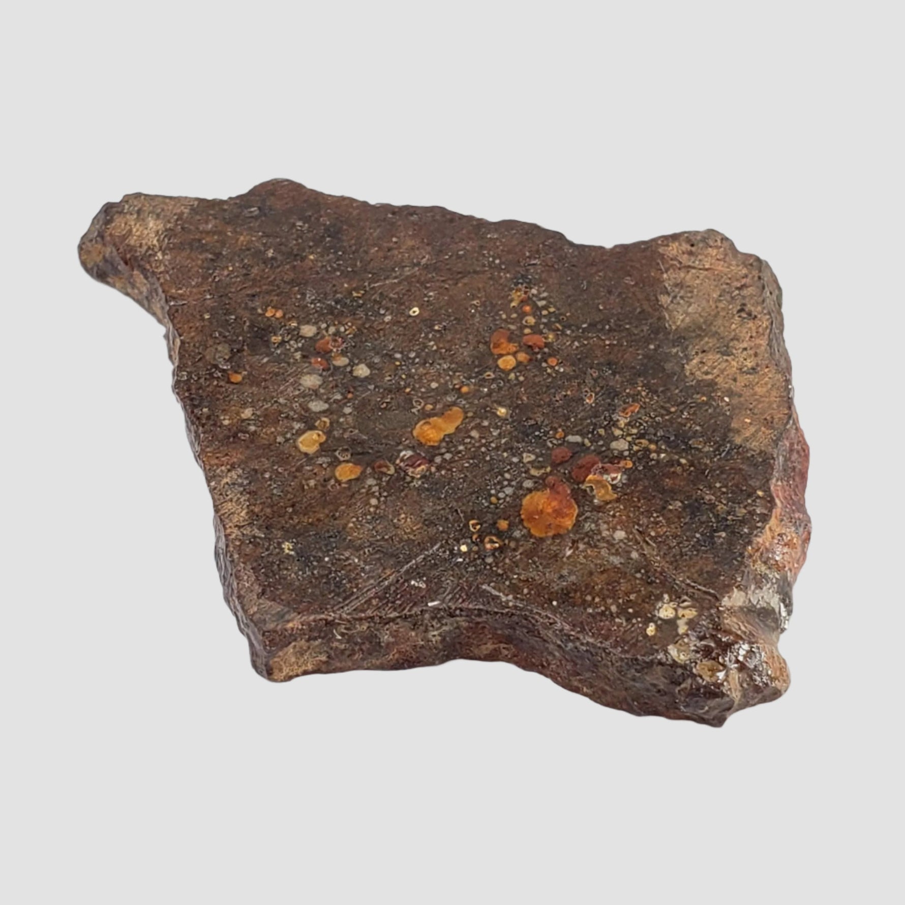  Shişr 010 Meteorite | 7.45 Grams | Slice | L5 Chondrite | Rare | Shişr Desert, Oman | SO24 6