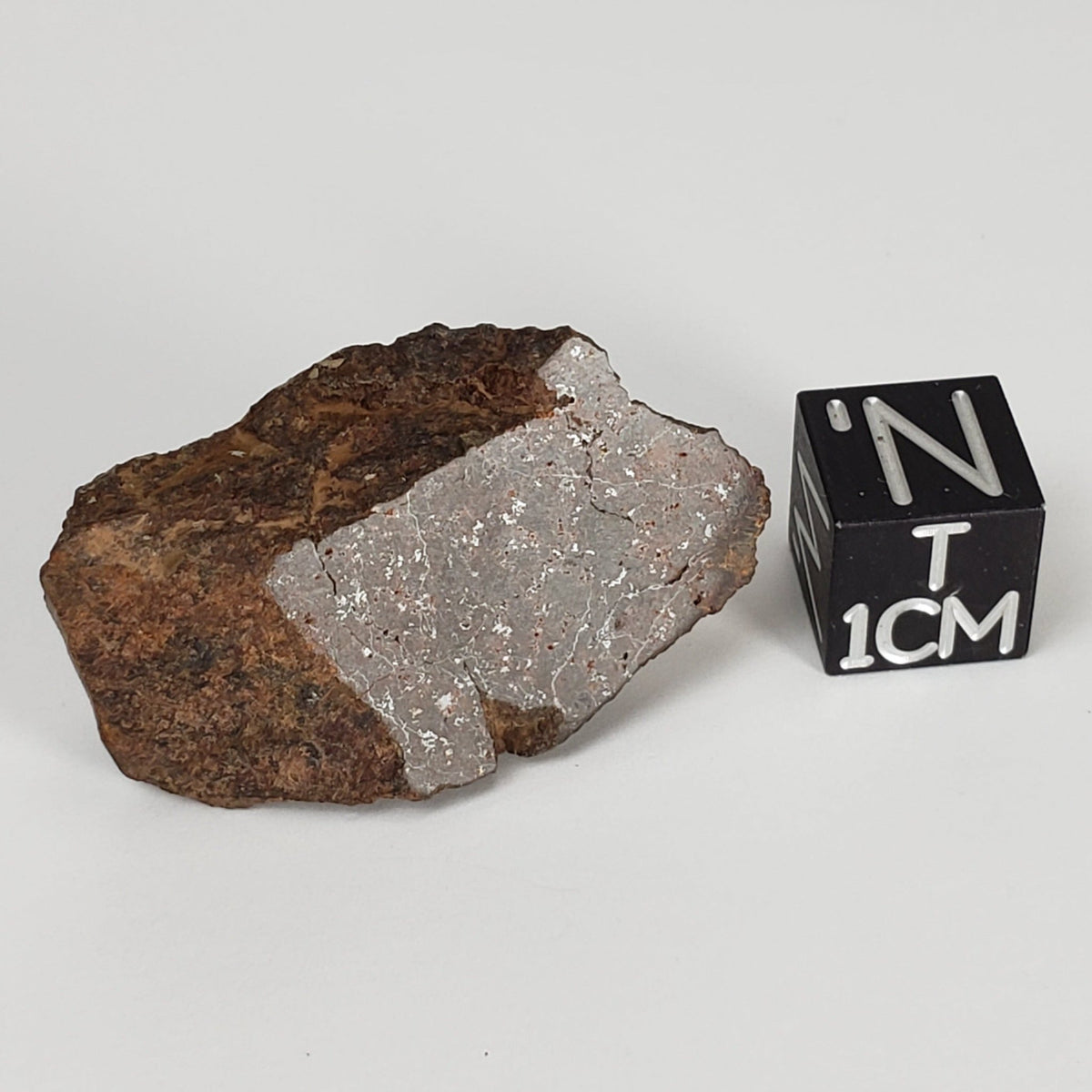  Shişr 010 Meteorite | 8.56 Grams | Slice | L5 Chondrite | Rare | Shişr Desert, Oman | SO24 