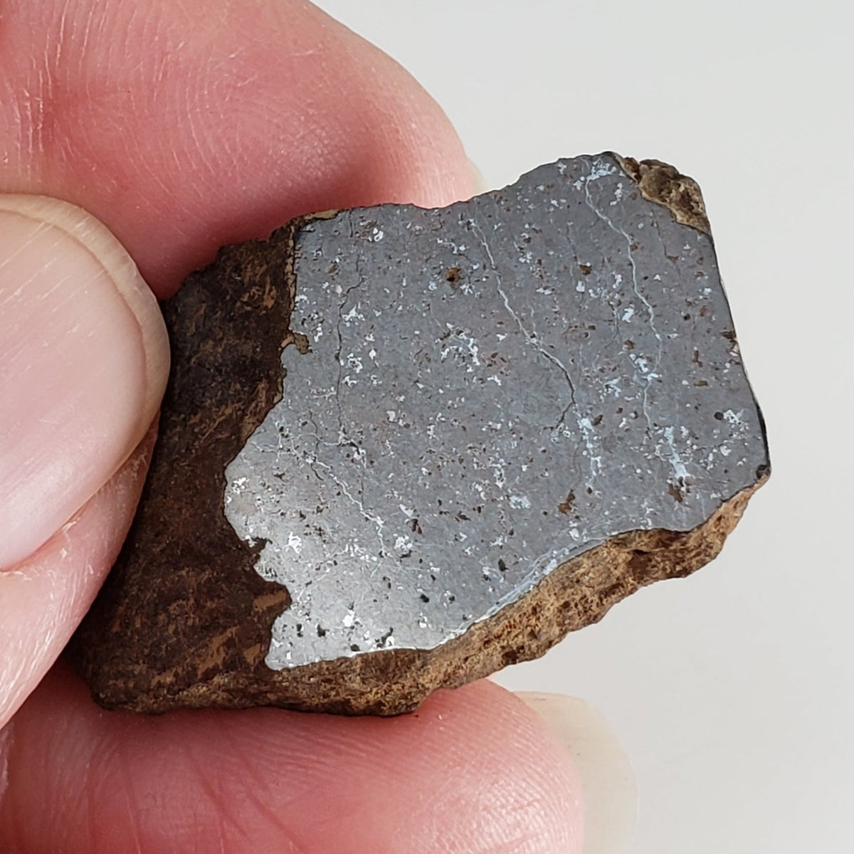  Shişr 010 Meteorite | 8.56 Grams | Slice | L5 Chondrite | Rare | Shişr Desert, Oman | SO24 1