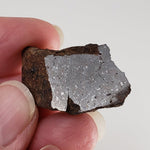  Shişr 010 Meteorite | 8.56 Grams | Slice | L5 Chondrite | Rare | Shişr Desert, Oman | SO24 2