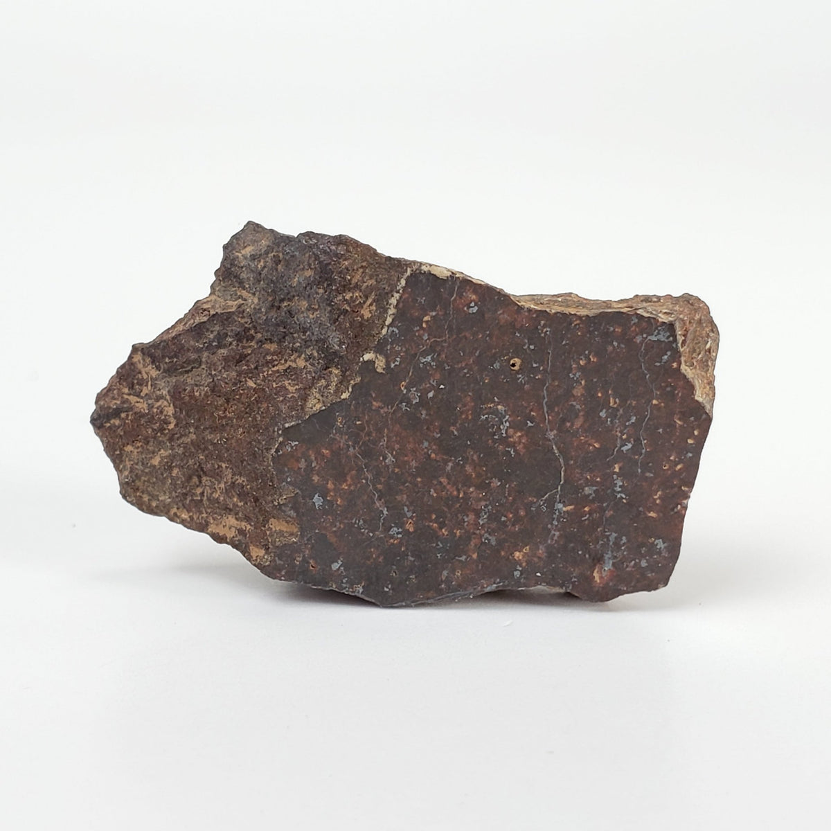 Shişr 010 Meteorite | 8.56 Grams | Slice | L5 Chondrite | Rare | Shişr Desert, Oman | SO24 3