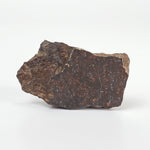  Shişr 010 Meteorite | 8.56 Grams | Slice | L5 Chondrite | Rare | Shişr Desert, Oman | SO24 3