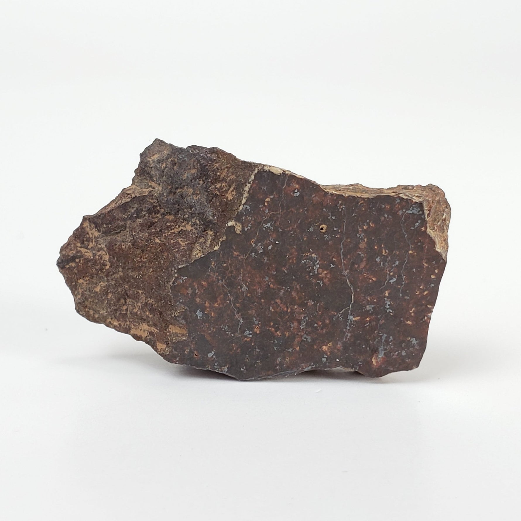  Shişr 010 Meteorite | 8.56 Grams | Slice | L5 Chondrite | Rare | Shişr Desert, Oman | SO24 3