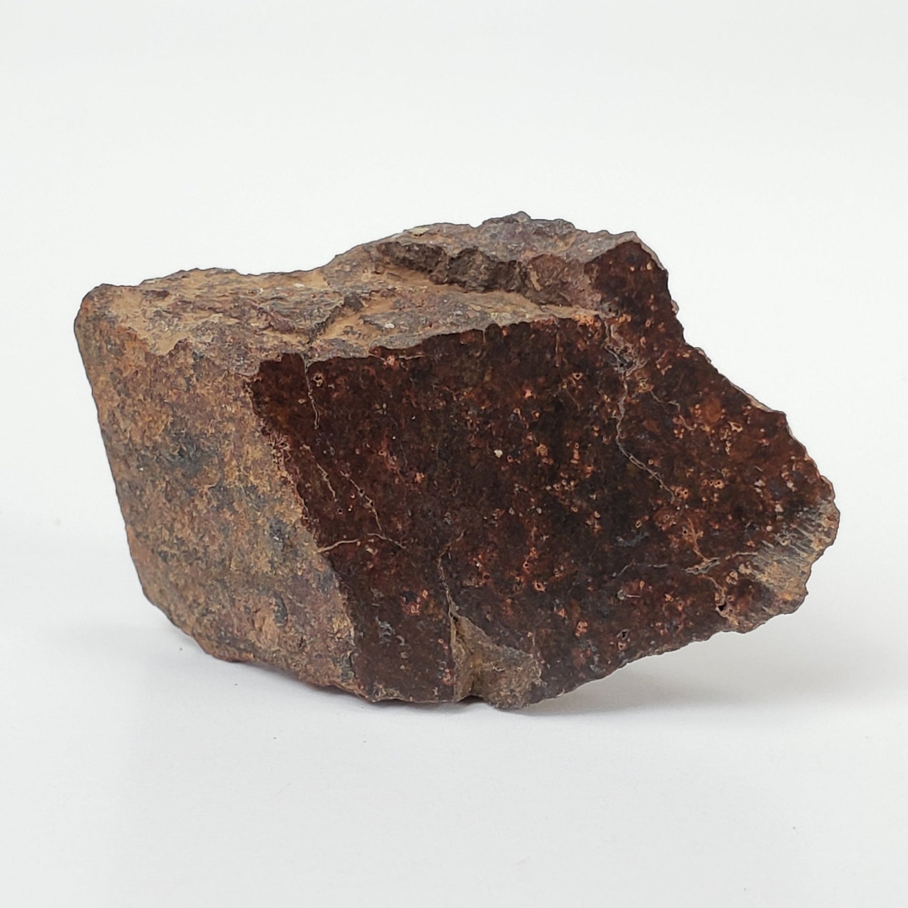  Shişr 010 Meteorite | 8.56 Grams | Slice | L5 Chondrite | Rare | Shişr Desert, Oman | SO24 5