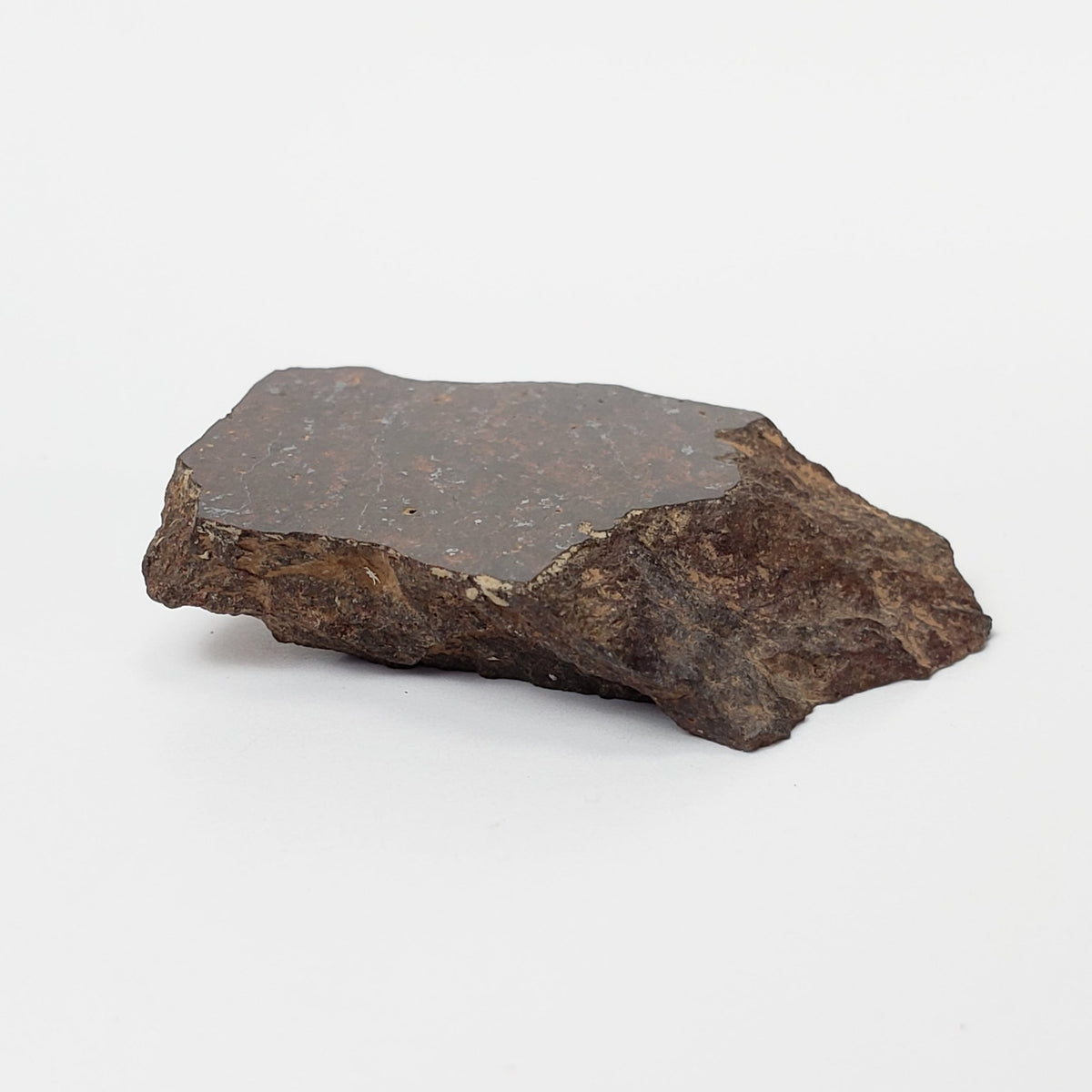  Shişr 010 Meteorite | 8.56 Grams | Slice | L5 Chondrite | Rare | Shişr Desert, Oman | SO24 7