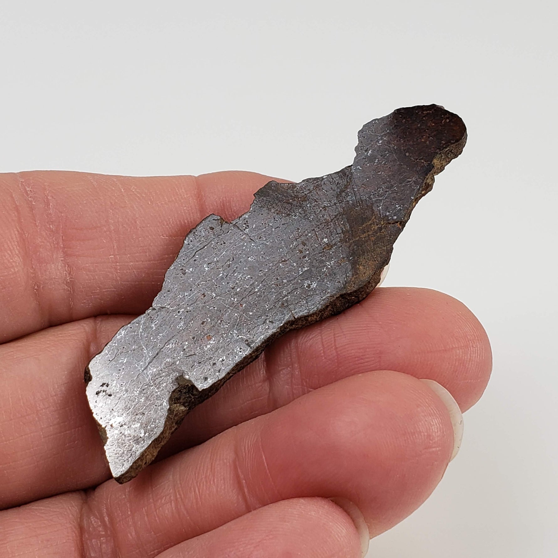  Shişr 010 Meteorite | 8.77 Grams | Slice | L5 Chondrite | Rare | Shişr Desert, Oman | SO24 1