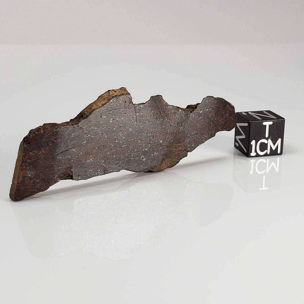  Shişr 010 Meteorite | 8.77 Grams | Slice | L5 Chondrite | Rare | Shişr Desert, Oman | SO24 