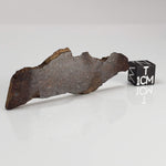  Shişr 010 Meteorite | 8.77 Grams | Slice | L5 Chondrite | Rare | Shişr Desert, Oman | SO24 