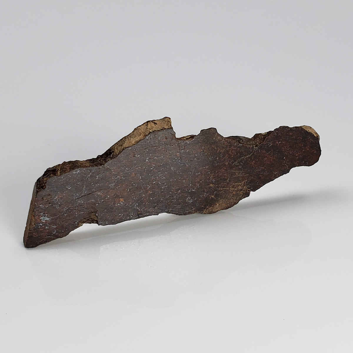  Shişr 010 Meteorite | 8.77 Grams | Slice | L5 Chondrite | Rare | Shişr Desert, Oman | SO24 2