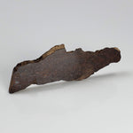  Shişr 010 Meteorite | 8.77 Grams | Slice | L5 Chondrite | Rare | Shişr Desert, Oman | SO24 2