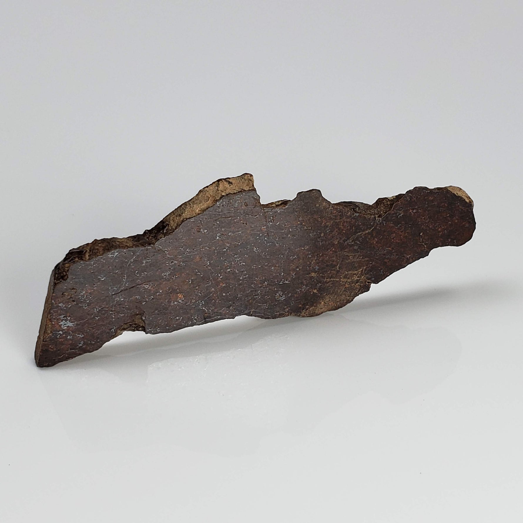  Shişr 010 Meteorite | 8.77 Grams | Slice | L5 Chondrite | Rare | Shişr Desert, Oman | SO24 2