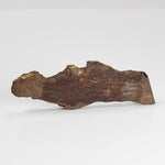  Shişr 010 Meteorite | 8.77 Grams | Slice | L5 Chondrite | Rare | Shişr Desert, Oman | SO24 4