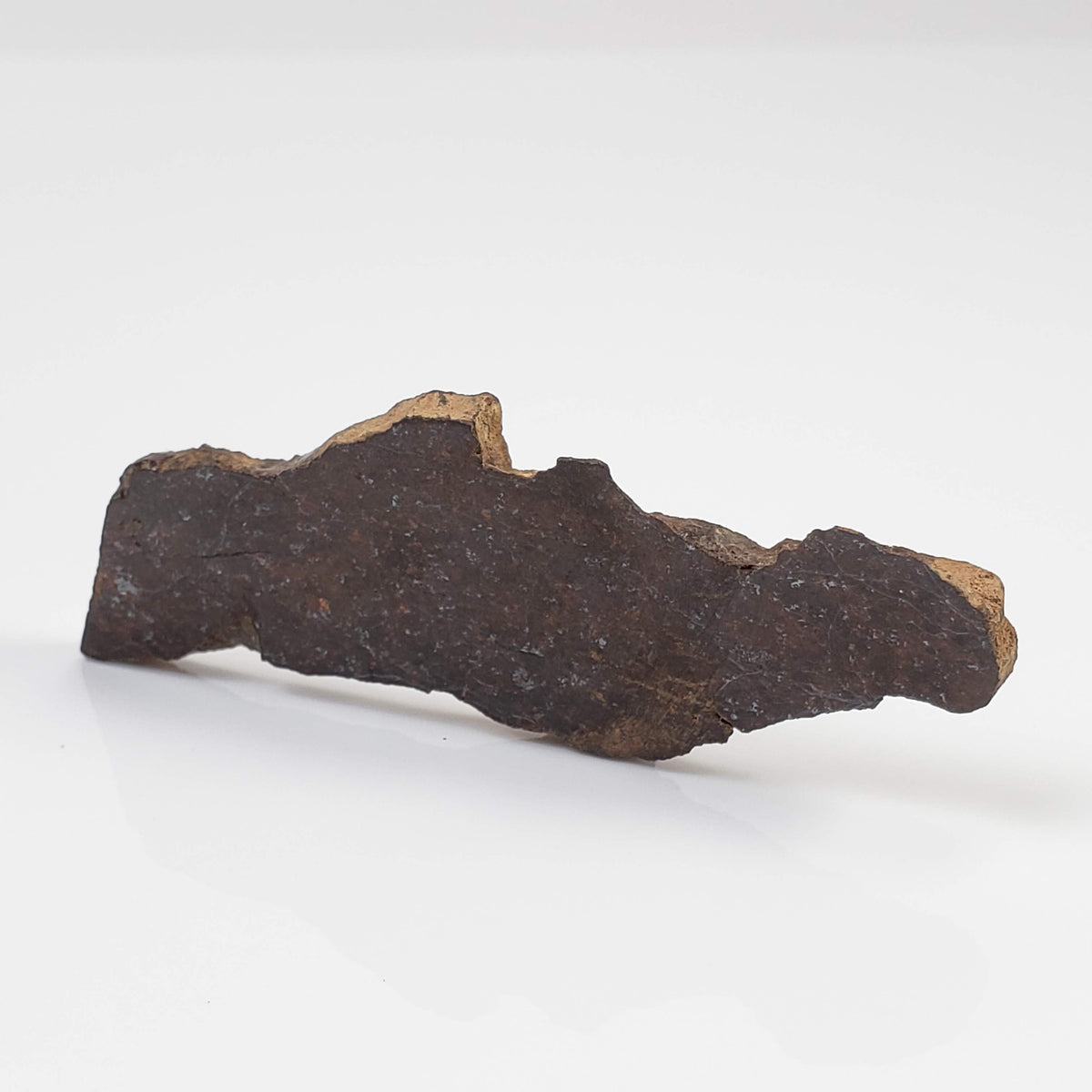  Shişr 010 Meteorite | 8.77 Grams | Slice | L5 Chondrite | Rare | Shişr Desert, Oman | SO24 5