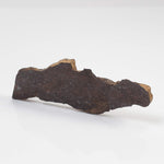  Shişr 010 Meteorite | 8.77 Grams | Slice | L5 Chondrite | Rare | Shişr Desert, Oman | SO24 5