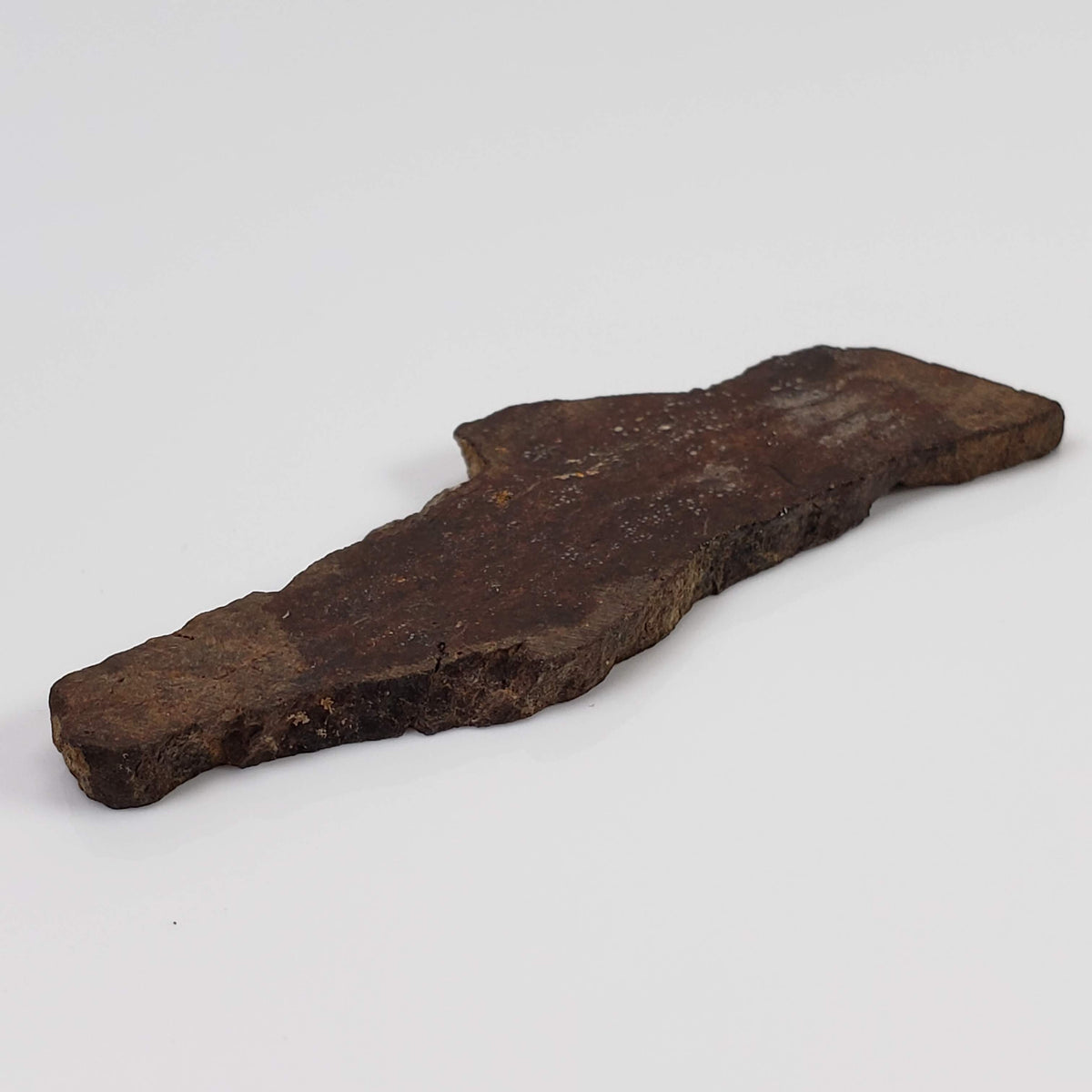  Shişr 010 Meteorite | 8.77 Grams | Slice | L5 Chondrite | Rare | Shişr Desert, Oman | SO24 7