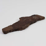  Shişr 010 Meteorite | 8.77 Grams | Slice | L5 Chondrite | Rare | Shişr Desert, Oman | SO24 7