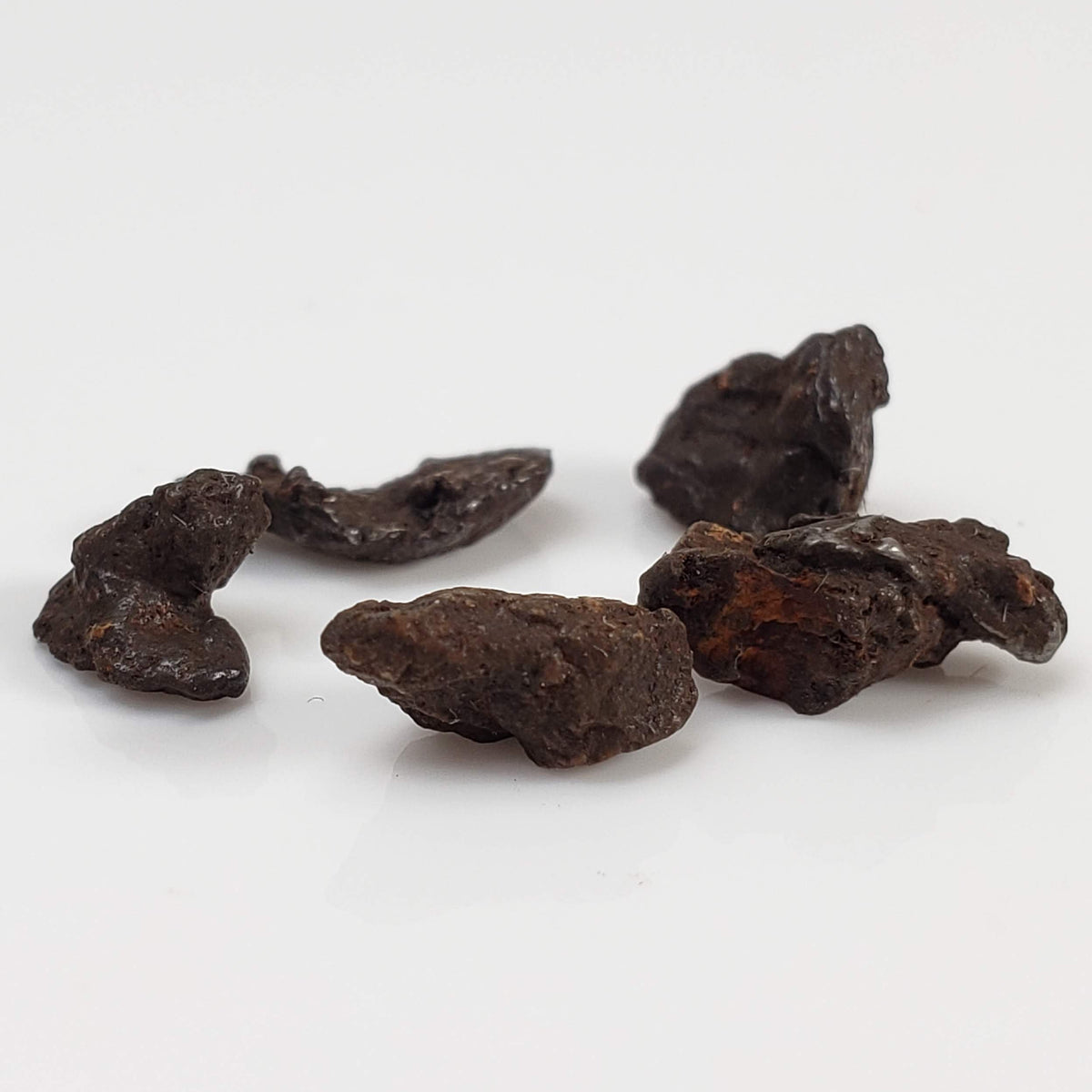 Sikhote-Alin Meteorite | 0.92 Grams | Micro | Iron IIAB | Shrapnel 2