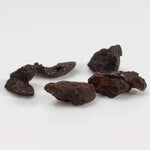 Sikhote-Alin Meteorite | 0.92 Grams | Micro | Iron IIAB | Shrapnel 2
