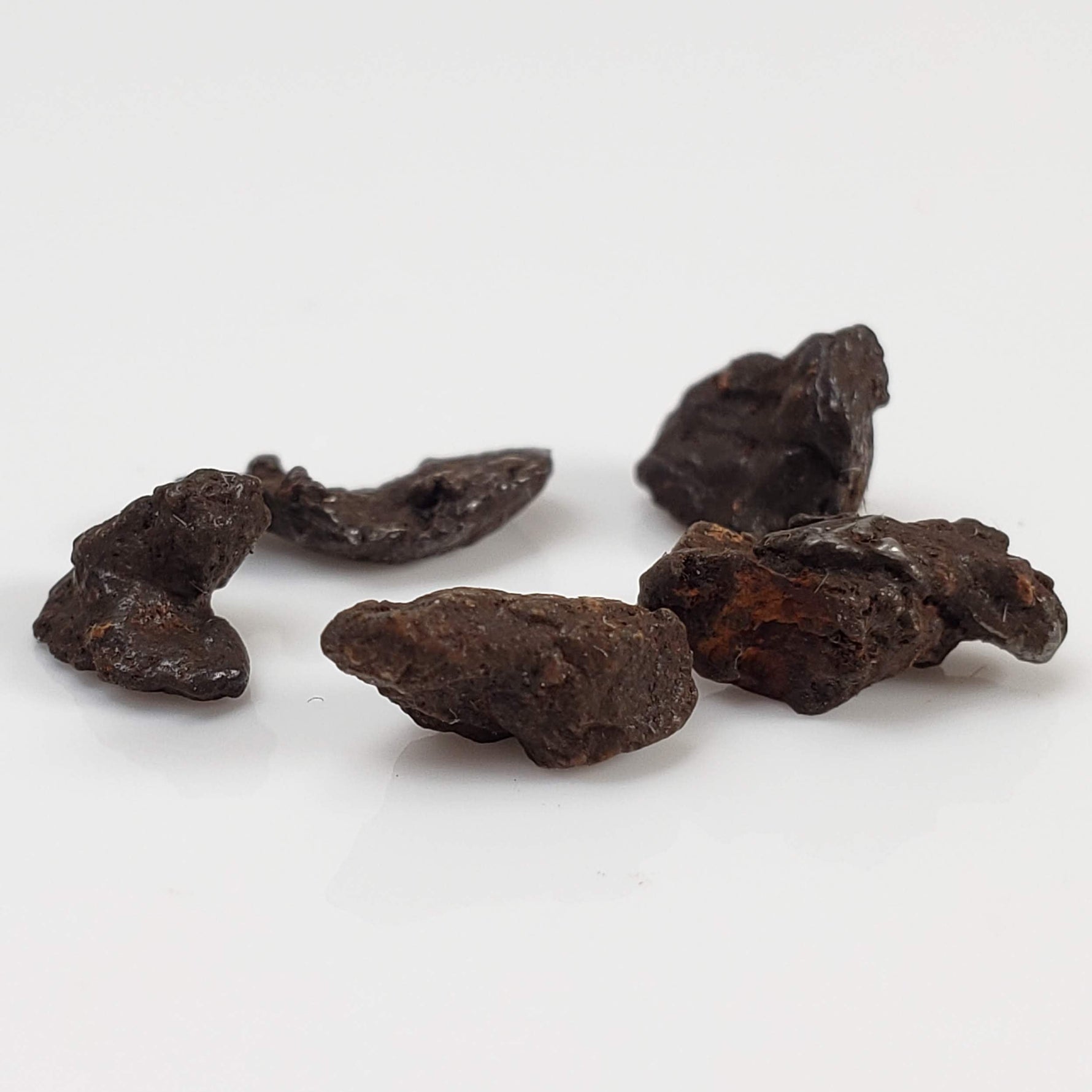 Sikhote-Alin Meteorite | 0.92 Grams | Micro | Iron IIAB | Shrapnel 2