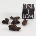 Sikhote-Alin Meteorite | 0.92 Grams | Micro | Iron IIAB | Shrapnel 0