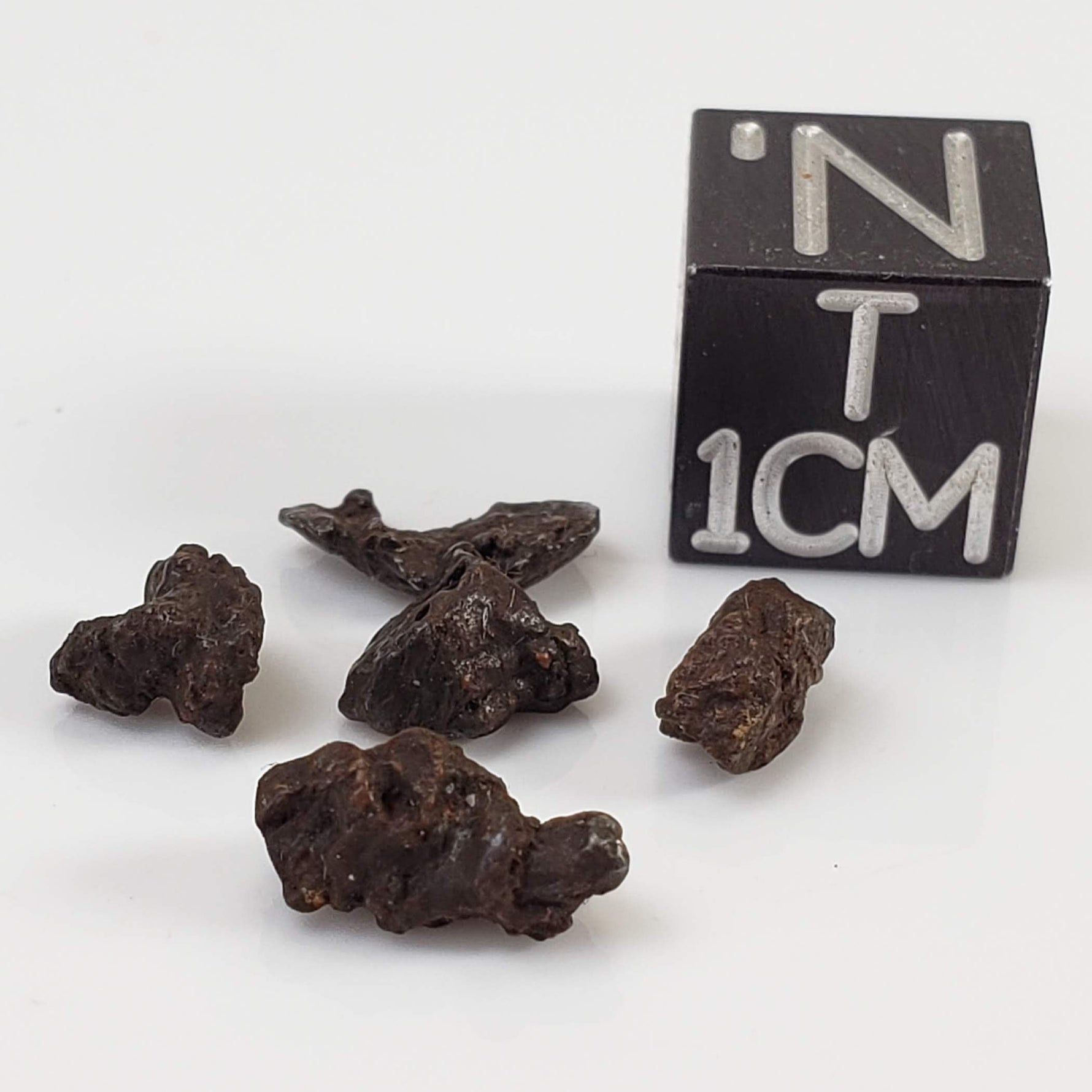 Sikhote-Alin Meteorite | 0.92 Grams | Micro | Iron IIAB | Shrapnel 0