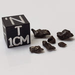 Sikhote-Alin Meteorite | 0.95 Grams | Micro | Iron IIAB | Shrapnel 0