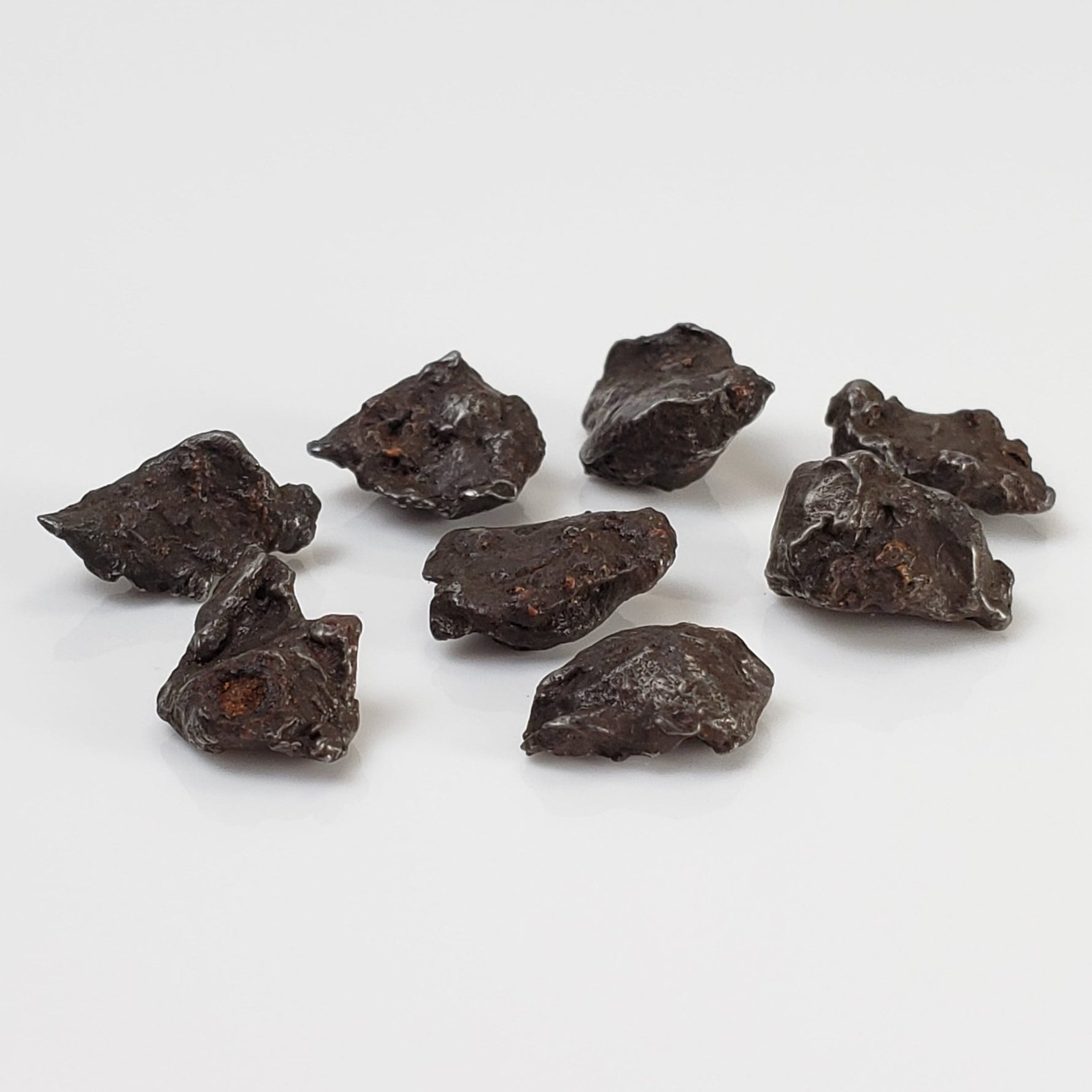  Sikhote-Alin Meteorite | 1-2 Grams | Individual | Iron IIAB | Shrapnel 2