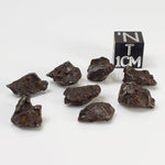  Sikhote-Alin Meteorite | 1-2 Grams | Individual | Iron IIAB | Shrapnel 