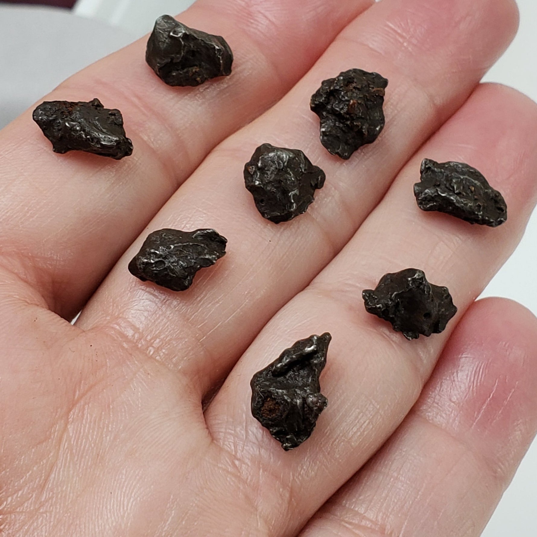  Sikhote-Alin Meteorite | 1-2 Grams | Individual | Iron IIAB | Shrapnel 1