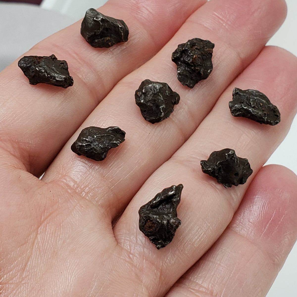  Sikhote-Alin Meteorite | 1-2 Grams | Individual | Iron IIAB | Shrapnel 1