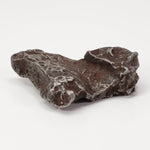  Sikhote-Alin Meteorite | 20.1 Grams | Individual | Iron IIAB | Shrapnel 4