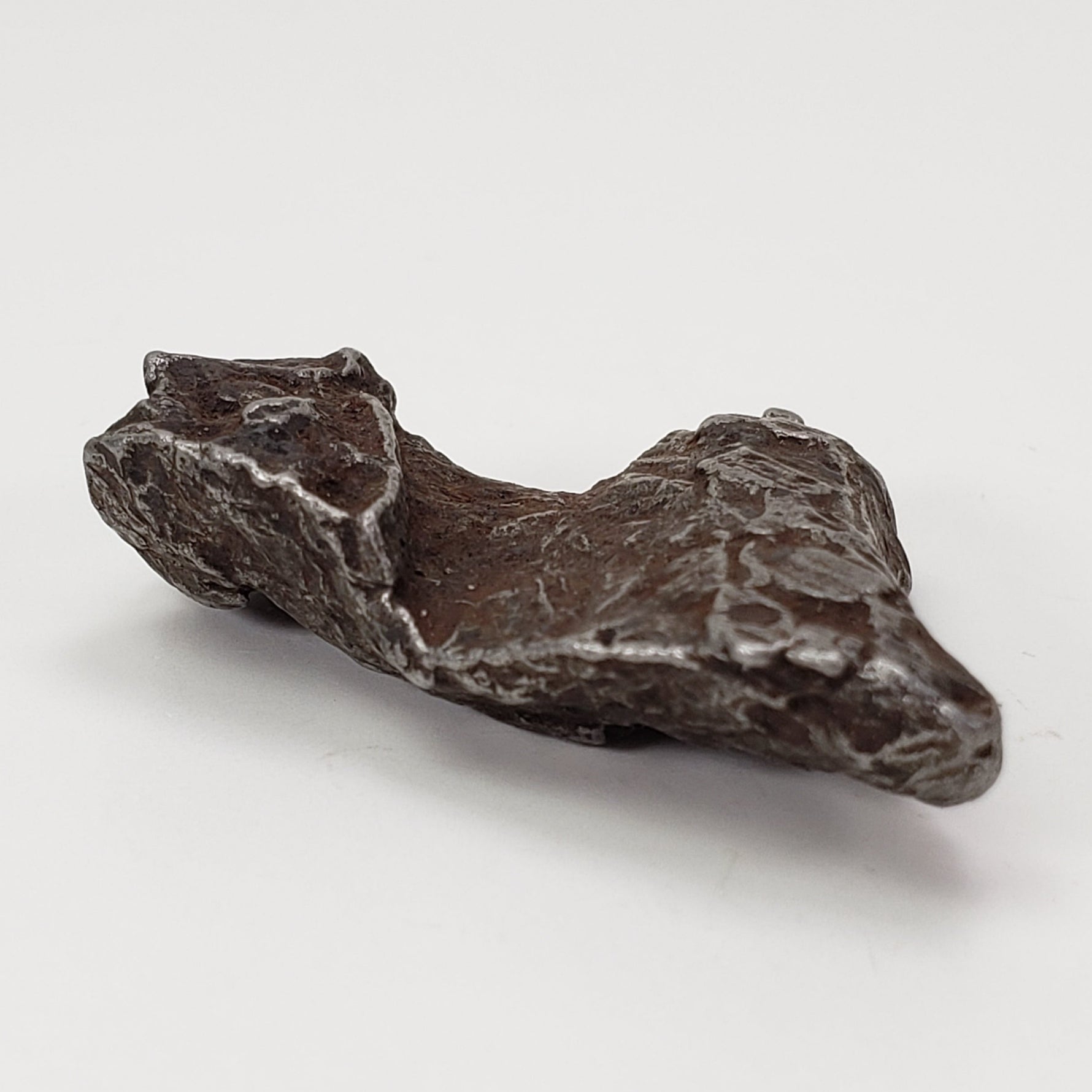  Sikhote-Alin Meteorite | 20.1 Grams | Individual | Iron IIAB | Shrapnel 5