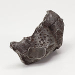  Sikhote-Alin Meteorite | 23.2 Grams | Individual | Iron IIAB | Shrapnel | SO24 3