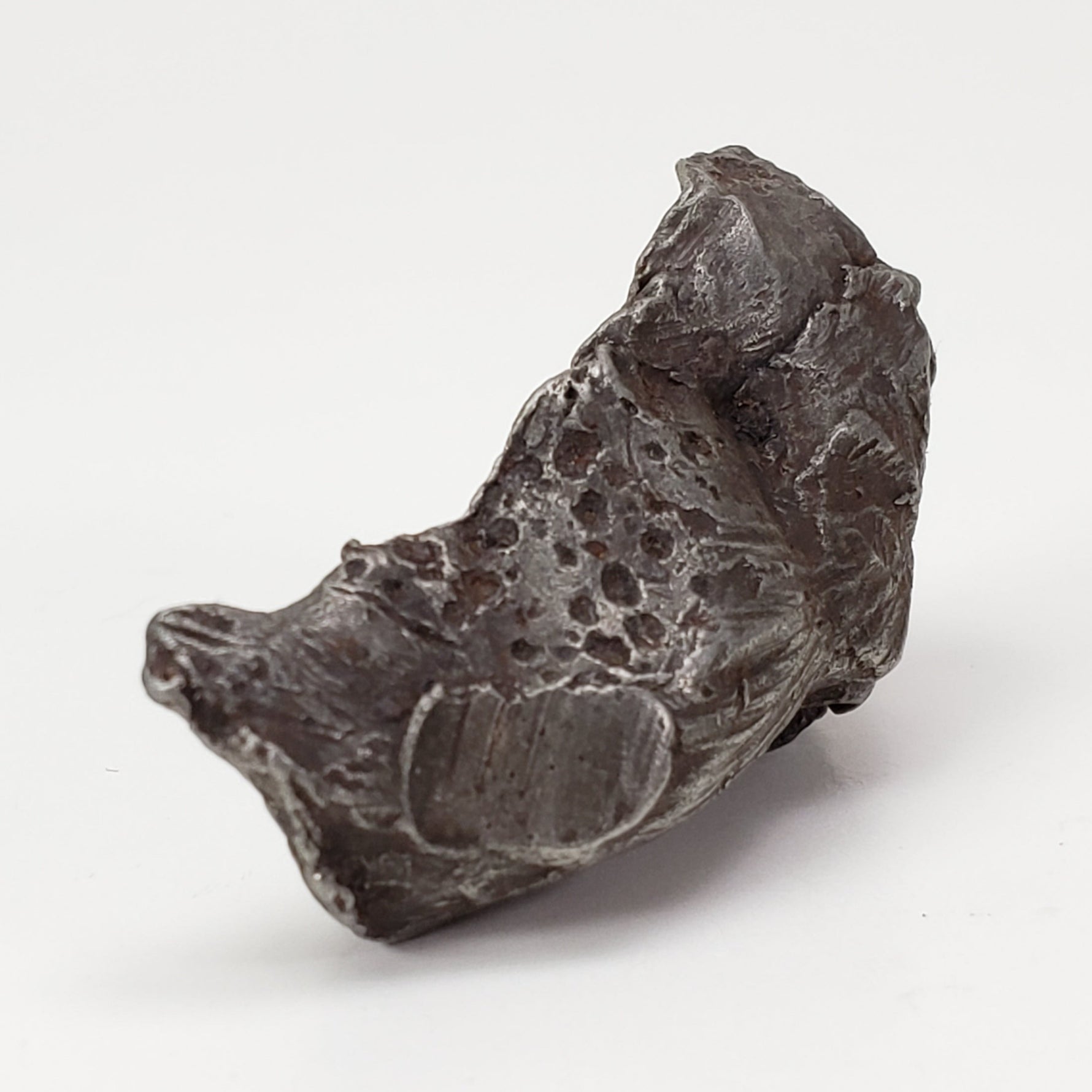  Sikhote-Alin Meteorite | 23.2 Grams | Individual | Iron IIAB | Shrapnel | SO24 3