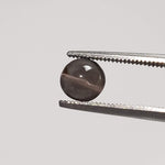  Sillimanite Cats Eye | 6 Piece Lot | Round Cabochon | Titanium | 5.7-6mm 5.2tcw 3