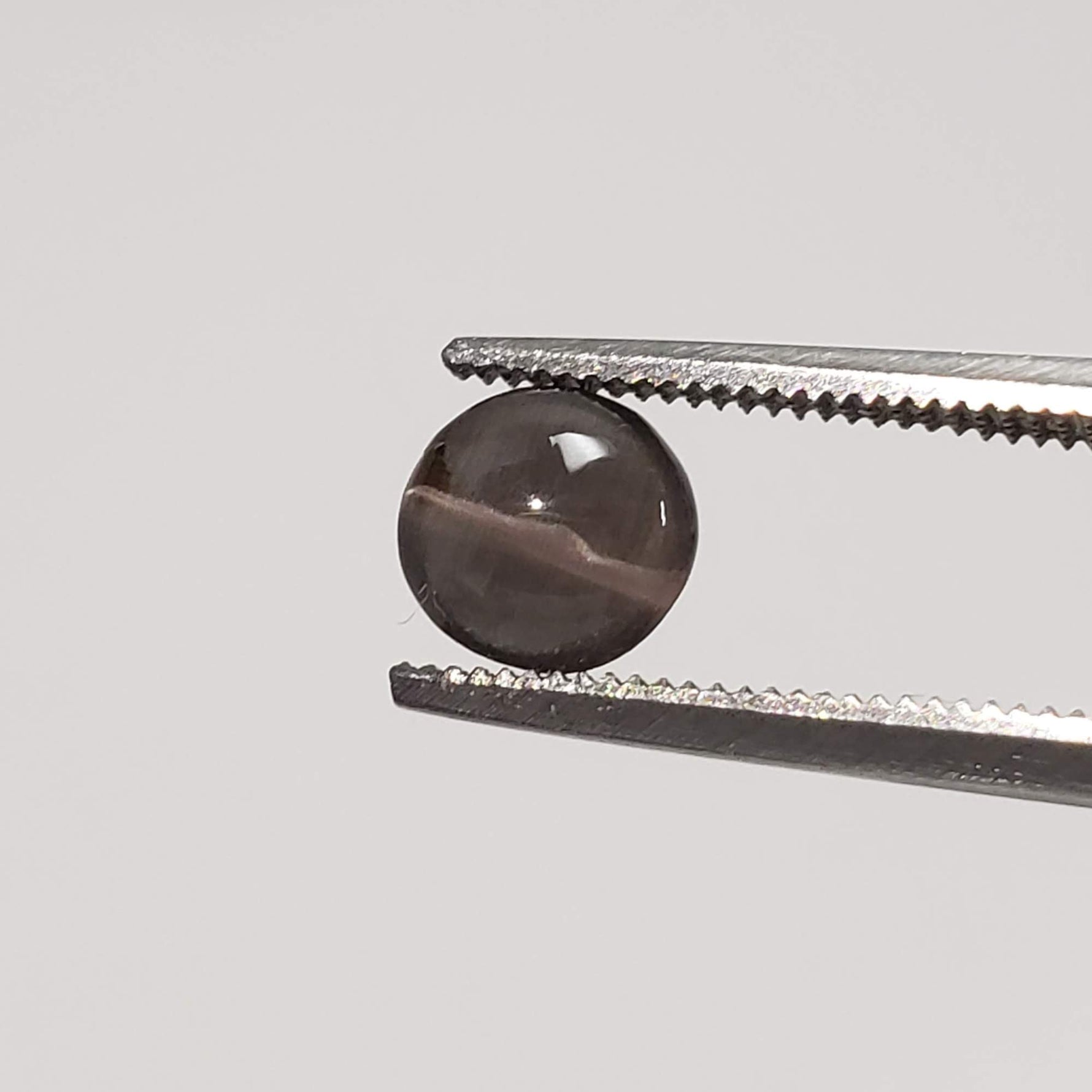  Sillimanite Cats Eye | 6 Piece Lot | Round Cabochon | Titanium | 5.7-6mm 5.2tcw 3