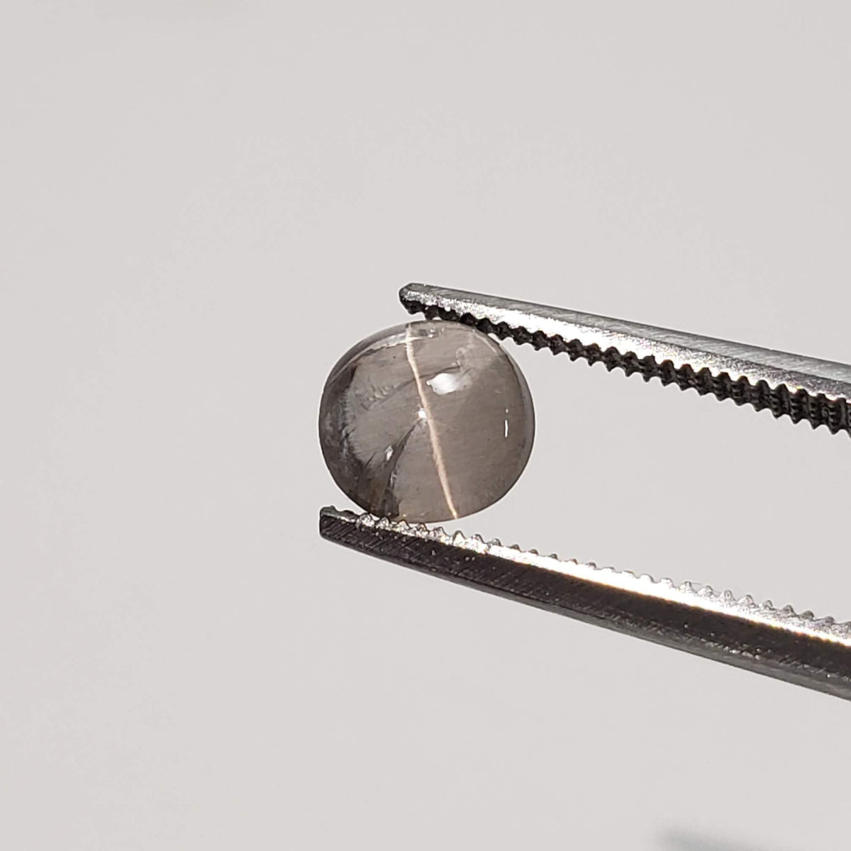  Sillimanite Cats Eye | 6 Piece Lot | Round Cabochon | Titanium | 5.7-6mm 5.2tcw 4