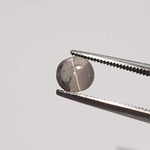  Sillimanite Cats Eye | 6 Piece Lot | Round Cabochon | Titanium | 5.7-6mm 5.2tcw 4